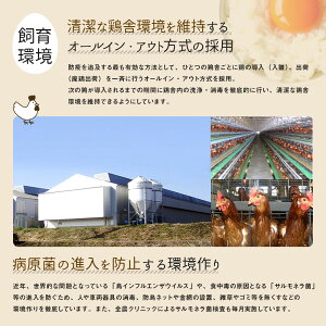 �ڤդ뤵��Ǽ�ǡۻ����ܷܼ�������480�ġ�40��&times;12���12�����������¢����̵�����ޤ���