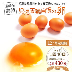 �ڤդ뤵��Ǽ�ǡۻ����ܷܼ�������480�ġ�40��&times;12���12�����������¢����̵�����ޤ���