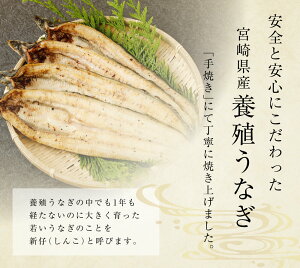 【ふるさと納税】玄人の一品うなぎ白焼150g×4尾3ヶ月分3回【定期便】計12尾新仔長焼き養殖うなぎ鰻ウナギ国産宮崎県産冷凍冷蔵送料無料