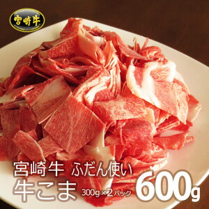 yӂ邳Ɣ[Łz{苍 v600gi300g×2pbNj A4  ig Ⓚ tb܎ {茧Y Y 