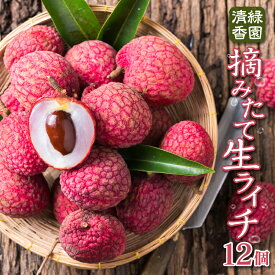 楽天市場 白 ライチ フルーツ 果物 食品の通販