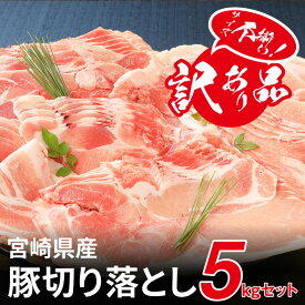 楽天市場 ふるさと納税 訳あり 精肉 肉加工品 食品 の通販 楽天市場 ふるさと納税 訳あり 精肉 肉加工品 食品 の通販