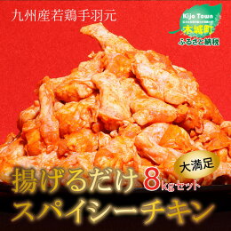 九州産若鶏手羽元揚げるだけスパイシーチキン8kg