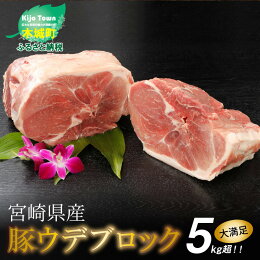 【ふるさと納税】<宮崎県産豚ウデブロック5kg超!>K16_0014送料無料【宮崎県木城町】