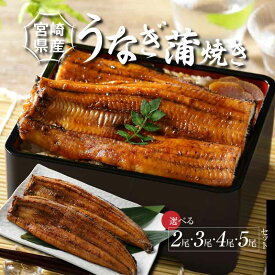 【ふるさと納税】宮崎県産うなぎ蒲焼きセット 尾数選べる 2尾/3尾/4尾/5尾 - 鰻 ウナギ 国産うなぎ 国内産 うなぎの蒲焼き 自慢のたれ付き ひつまぶし うな丼 うな重 鰻重 鰻丼 鰻巻き ご飯 惣菜 瞬間冷凍 送料無料【宮崎県児湯郡木城町】