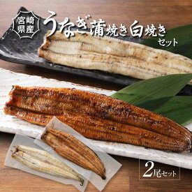 【ふるさと納税】宮崎県産うなぎ 白焼き・蒲焼き 2尾セット - 白焼き1尾 蒲焼き1尾 タレ2ケ 鰻 ウナギ 国産うなぎ 国内産 鰻の蒲焼き 自慢のたれ付き 食べ比べ 素焼き ひつまぶし/うな丼/うな重/鰻重/鰻丼/鰻巻き ご飯 惣菜 瞬間冷凍 送料無料【宮崎県児湯郡木城町】