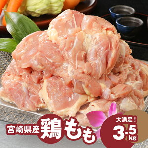 yӂ邳Ɣ[Łz{茧Y{ {3.5kg - Y { Ⓚ {  ^pbN eʃpbN  `Ɣ 邲  { ꖇ Y{ VN  y{