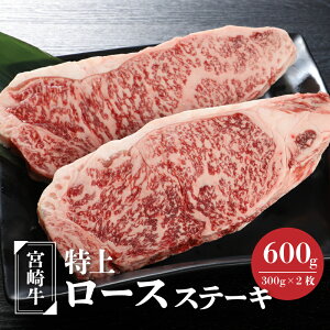 yӂ邳Ɣ[Łzyr[Ly[Ώہz{苍 ネ[XXe[L 600g(300g×2) - {茧Yјa Y [X r[tXe[L 1300g Xe[L {苍 A5/A4̂ꂩ 