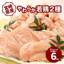 【ふるさと納税】宮崎県産鶏 やわらか若鶏2種6kg - 鶏むね肉 手羽元 国産若鶏 鶏肉セット 冷凍 唐揚げ/グリルチキン/さっぱり煮 たんぱく質 送料無料 【宮崎県木城町】