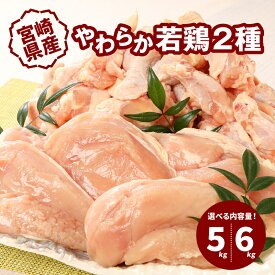 【ふるさと納税】宮崎県産鶏 やわらか若鶏2種 5kg・ 6kg - 内容量を選べる 大容量 鶏むね肉 手羽元 国産若鶏 鶏肉セット ムネ肉 冷凍 胸肉 ヘルシー 唐揚げ たんぱく質 送料無料 【宮崎県木城町】