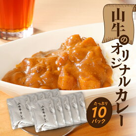 【ふるさと納税】「山牛」のオリジナルカレー10パックセット - 1人前 約200g レトルトカレー ビーフカレー レトルト食品 国産牛肉 黒毛和牛 簡易包装 パウチ 湯煎調理 常温保存可能 保存食 常備食 キャンプ 送料無料【宮崎県木城町】