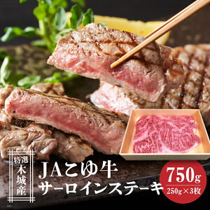yӂ邳Ɣ[ŁzJA䋍 I؏Y T[CXe[L 750g - 3 Xe[L   Ⓚz Yјa [Juh JA䋍  r[tXe[L Xe[L 250g×3  