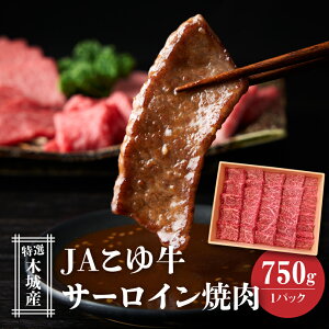 yӂ邳Ɣ[ŁzJA䋍 I؏Y T[C 750g ēp - 1pbN   Ⓚz Yјa [Juh JA䋍  ĂpJbg A5/A4  y{茧؏钬z