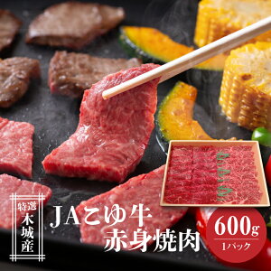 yӂ邳Ɣ[ŁzJA䋍 I؏Y Ԑg(EEf)600g ēp - Ԑg Ăp Jbgς g Ȃ  1pbN   Ⓚz Yјa JA䋍  A4/A5 Ef
