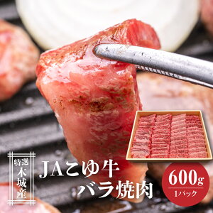 yӂ邳Ɣ[ŁzJA䋍 I؏Y o600g ēp - o 1pbN   Ⓚz Yјa [Juh JA䋍  A4/A5 ~ ĂpJbg uh 