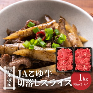 yӂ邳Ɣ[ŁzJA䋍 I؏Y ؗ500g×2 XCX - 1kg  ؂藎Ƃ Yјa [Juh JA䋍  A4/A5  Ⓚz  Y uh 