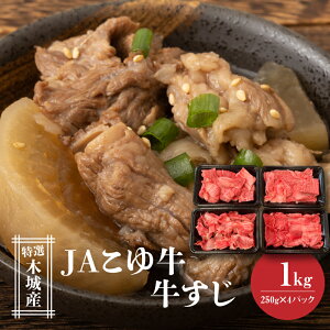 yӂ邳Ɣ[ŁzJA䋍 I؏Y 250g×4 - 1kg   Yјa [Juh  A4N/A5N  Ⓚz  Y uh Jbgς XW 