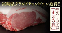 【ふるさと納税】『まるみ豚』手作り詰め合わせセット