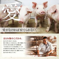 【ふるさと納税】『まるみ豚』手作り詰め合わせセット