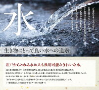 【ふるさと納税】『まるみ豚』手作り詰め合わせセット