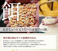 【ふるさと納税】『まるみ豚』手作り詰め合わせセット