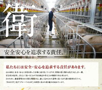 【ふるさと納税】『まるみ豚』手作り詰め合わせセット