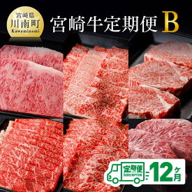 【ふるさと納税】【定期便】宮崎牛 12ヶ月定期便B(ロースステーキ/肩ロース焼肉/ヒレステーキ/ウデスライス/モモ焼肉/ミスジステーキ) 肉 牛肉 国産 宮崎県産 黒毛和牛 和牛 BBQ すき焼き ミヤチク 送料無料 F0616t12