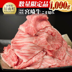 yӂ邳Ɣ[Łzr[Ly[ ʌ聦y쒬Yz{苍ܐ؂1,000g - Iׂ锭   1kg Y {茧Y јa a 4ȏ A4N ~`N Ԑ؂ 