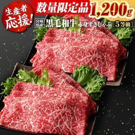 【ふるさと納税】※レビューキャンペーン※※発送月が選べる※ 生産者応援！5等級宮崎県産和牛赤身（ウデまたはモモ）すきしゃぶ　1,200g（通常1,000g+200g） - 数量限定 肉 1.2kg 牛肉 すき焼き しゃぶしゃぶ 国産 九州産 宮崎県産 黒毛和牛 モモ 宮崎県 川南町 C00605