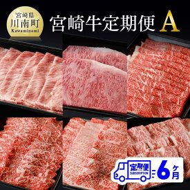 【ふるさと納税】【定期便】宮崎牛 6ヶ月定期便A - 肉 牛肉 国産 宮崎県産 黒毛和牛 和牛 肩ローススライス、ロースステーキ、ウデスライス、モモ焼肉、肩ロース焼肉、バラ焼肉 カルビ 送料無料 G0684