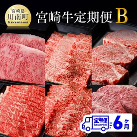 【ふるさと納税】※レビューキャンペーン※【定期便】宮崎牛 6ヶ月定期便B - 肉 牛肉 国産 宮崎県産 黒毛和牛 和牛 ロースステーキ 肩ロース焼肉 ヒレステーキ ウデスライス モモ焼肉 ミスジステーキ ミヤチク 送料無料 D00683t6