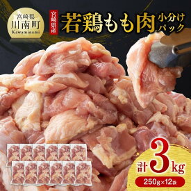 【ふるさと納税】※レビューキャンペーン※ 選べる発送月 宮崎県産鶏肉 若鶏 もも肉 3kg (250g×12袋) 肉 鶏 鶏肉 国産 モモ とりもも 若鳥 九州産 鳥 唐揚げ 小分け 使いやすい 便利 F0904