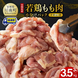 【ふるさと納税】【手羽元500gあり・なしが選べる】【発送月が選べる】【小分け】宮崎県産若鶏　もも肉計3kg（250g×12袋） - 肉 鶏 鶏肉 国産 モモ もも 若鳥 カット済み 小分け ふるさと納税 モモ肉 便利 簡単 真空パック 九州産 鳥 唐揚げ 小分け 使いやすい 便利 手羽元