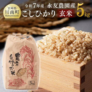 yӂ邳Ɣ[Łzyߘa7NYziF_YuЂ()v5kg ]   2025NY Y BY {茧Y RVqJ  C10609