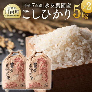 yӂ邳Ɣ[Łzyߘa7NYziF_YuЂv10kg(5kg×2) ]   2025NY Y BY {茧Y RVqJ h ~ p {茧 쒬  C10611