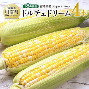 【ふるさと納税】【令和8年発送】宮崎県産とうもろこし スィートコーン「ドルチェドリーム」4本 - トウモロコシ コーン ドルチェドリーム とうきび 新鮮 野菜 農家直送 期間限定 先行予約