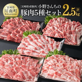 【ふるさと納税】※レビューキャンペーン※宮崎県産豚肉 小野さんちの"豚肉5種セット” 2.5kg【 豚肉 豚 肉 宮崎県産 しゃぶしゃぶ 焼肉 BBQ】 送料無料 E10506