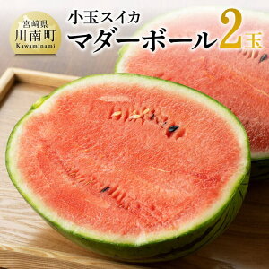 【ふるさと納税】【令和8年産】宮崎県産 小玉スイカ(マダーボール)2玉 ‐ 国産 宮崎県産 西瓜 果物 野菜 デザート スイーツ 送料無料 C10701