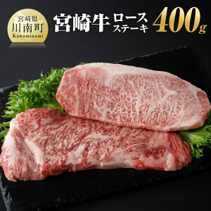 yӂ邳Ɣ[Łzr[Ly[ {苍[XXe[L400gi200g×2j -   A4`A5 {苍 Y {茧Y a BY [X Xe[L {n LO Cxg BBQ 