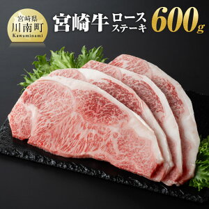 yӂ邳Ɣ[Łzr[Ly[ {苍[XXe[L600gi150g×4j -   A4`A5 {苍 Y {茧Y a BY [X t Xe[L {n LO Cxg BBQ 