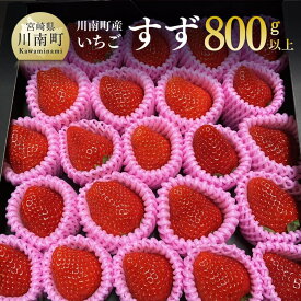 【ふるさと納税】【令和8年発送】宮崎県産いちご（川南町産）　「すず」計800g - 先行予約 期間限定 果物 イチゴ 苺 フルーツ C09802