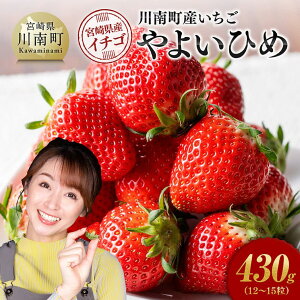 yӂ邳Ɣ[Łz쒬Yu悢Ђ߁v430g - Ԍ ʕ C`S  悢Ђ t[c C11201