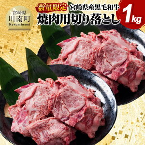 yӂ邳Ɣ[Łzr[Ly[yʌz{茧Yјa@ēp؂藎Ƃ1kg -  Y {茧Y {苍 BBQ D11304