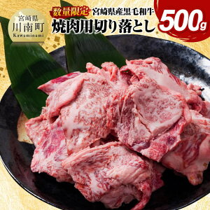 yӂ邳Ɣ[Łzr[Ly[yʌz{茧Yјa@ēp؂藎Ƃ500g -  Y {茧Y {苍 BBQ D11303