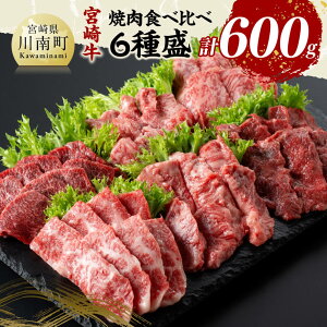 【ふるさと納税】宮崎牛 焼肉 食べ比べ 6種盛 600g - 肉 牛肉 国産 宮崎県産 黒毛和牛 和牛 焼肉 バーベキュー 送料無料 D11417