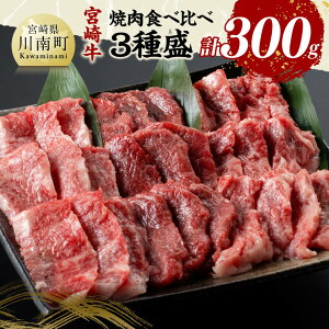 yӂ邳Ɣ[Łz{苍 ē Hה 3퐷 300g -   Y {茧Y јa a ē o[xL[  D11416