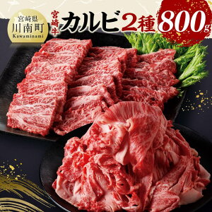 yӂ邳Ɣ[Łzr[Ly[{苍JrēE؂藎ƂZbgv800g -   Y јa {苍 ē {茧 쒬  D11405