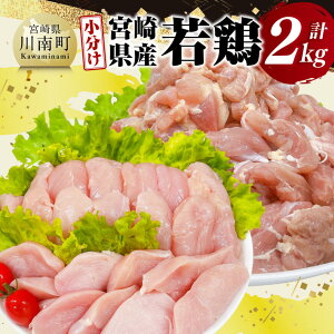 yӂ邳Ɣ[Łzr[Ly[y  z {茧Y { 2kg -  ނ  Zbg { Ƃ D11612