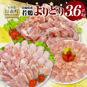 yӂ邳Ɣ[Łz {茧Y { ǂ 3.6kg -  H `Lu  { Ƃ C11624