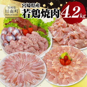 yӂ邳Ɣ[Łzr[Ly[{茧Y { ē 4.2kg -    `Lu  { Ƃ ^pbN C11625
